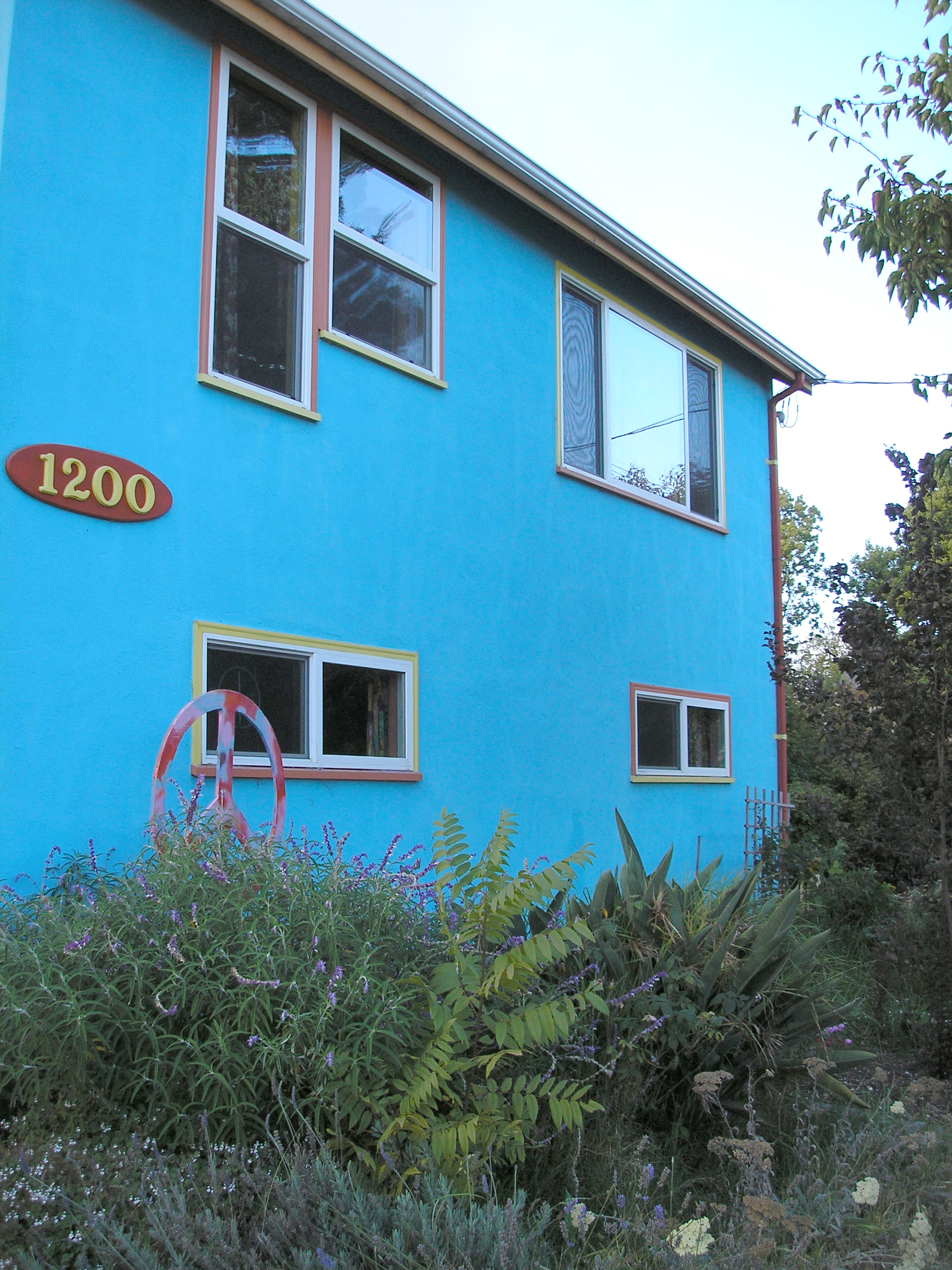 The Blue House